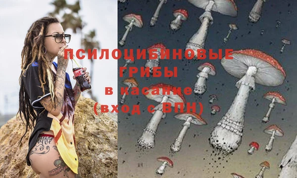 амф Горняк