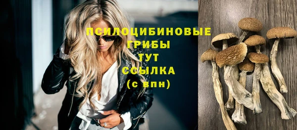 молекула духа Горнозаводск