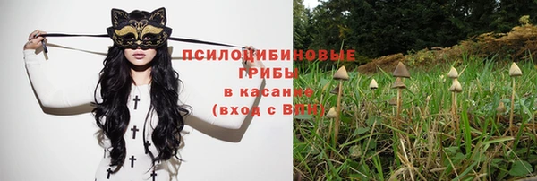 мдпв Армянск